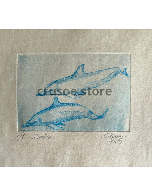 Gravure - Stenella