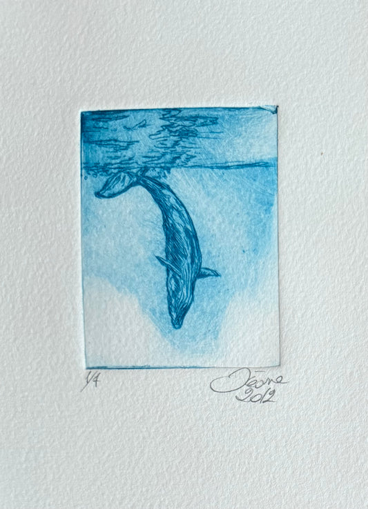 Gravure - Baleine qui sonde