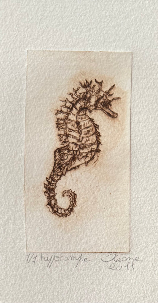 Gravure - Hippocampe